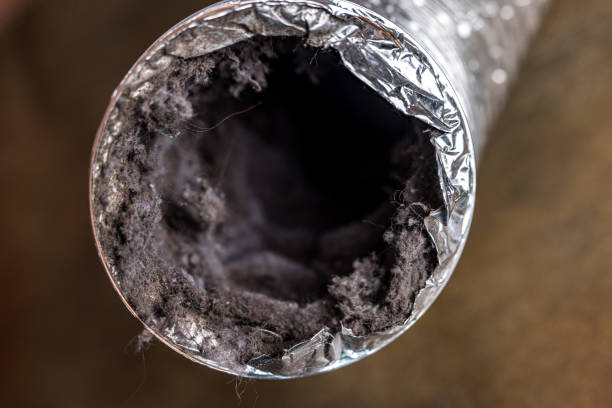 Best Air Duct Cleaning Near Me  in Pulaski, TN
