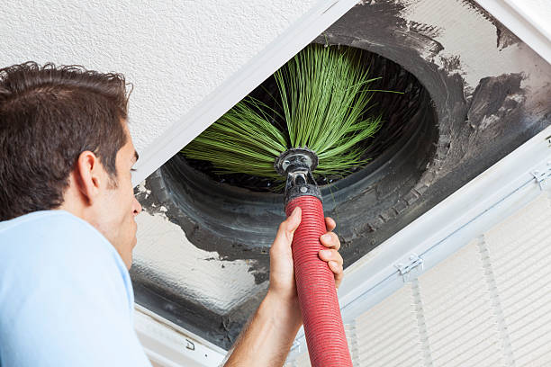 Best Air Duct Cleaning Company Near Me  in Pulaski, TN